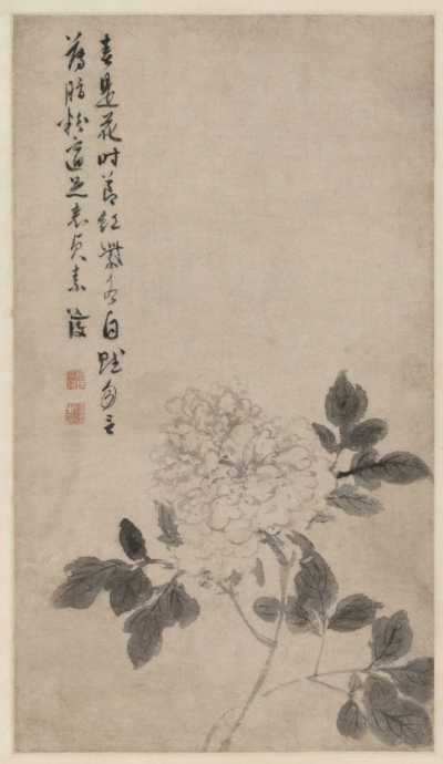 明 陈淳 牡丹花卉图纸本