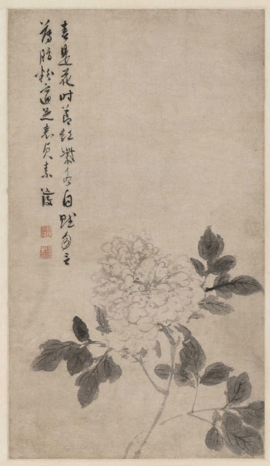 明 陈淳 牡丹花卉图纸本 第1张